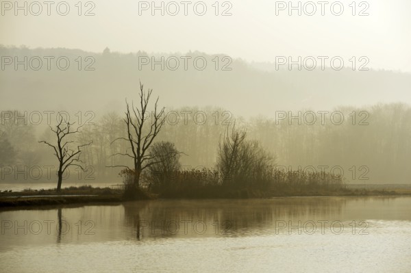 Morning mood in the Naturschutzgebiet Flachsee nature reserve in Rottenschwil, Canton of Aargau, Switzerland