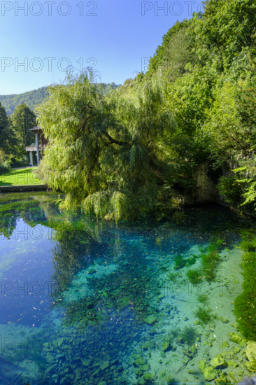 Blauer Quelltopf, Urspring spring, Urspring near Schelklingen, Swabian Alb, Baden-Württemberg, Germany