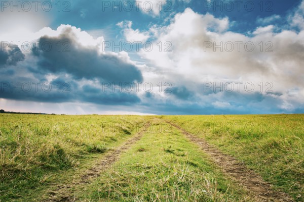 Lonely dirt road surrounded by grass under a blue sky with fluffy clouds. View of a grass dirt road with a bright blue sky with clouds