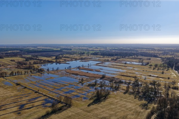 Moats and wetlands in the UNESCO Drömling Biosphere Reserve in the Altmark near Mieste on a sunny day in early spring. aerial view. Mieste, Gardelegen, Saxony-Anhalt, Germany