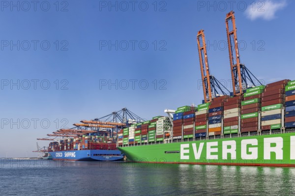 Container ship EVER GIFTED at Euromax Container Terminal. The mega ship has a length of 400 metres. Evergreen Shipping Agency. Container terminal in the Maasvlakte 2 deep-sea harbour on an artificial land area. Rotterdam, Zuid-Holland, Netherlands