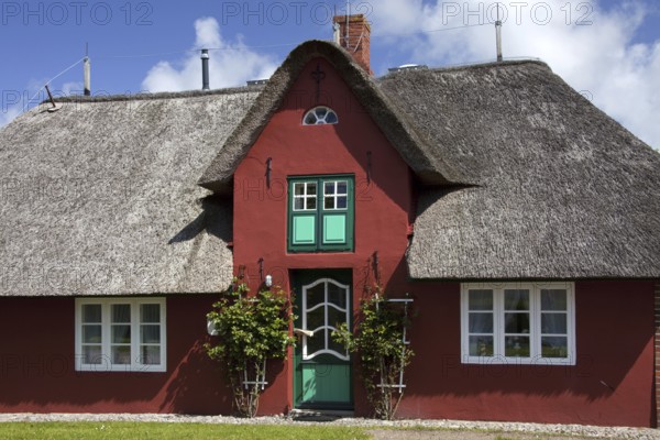 Traditional Frisian thatched house at Süderende on the Island of Föhr, Nordfriesland, North Frisia, Germany
