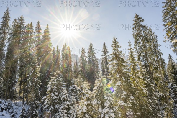 Beautiful landscape of the forest in the Sexten Dolomites on a sunny winter day, South Tyrol, Trentino-South Tyrol, Alto-Adige, Italy