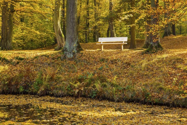 Castle park of Hermsdorf Castle in autumn, Ottendorf-Ockrilla, Saxony, Germany