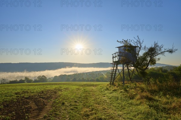 Sunny morning over a meadow with trees and hunting pulpit, fog, quiet and peaceful atmosphere, autumn, Großheubach, Miltenberg, Spessart, Bavaria, Germany