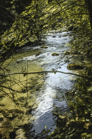 Mangfall near Bruckmühl, district of Miesbach, Upper Bavaria, Bavaria, Germany