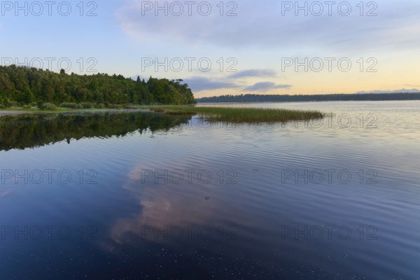 A calm lake in the morning with peaceful natural scenery and reflective clouds, Lake Mahinapua, Ruatapu, South Island, New Zealand