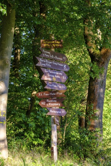 Hiking trail signs, Werra Burgensteig Trail, Nentershausen, Richelsdorfer Gebirge, North Hesse, Hesse, Germany