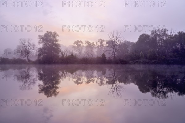 Morning atmosphere at the Flachsee, trees reflected in the water, Rottenschwil, Canton Aargau, Switzerland