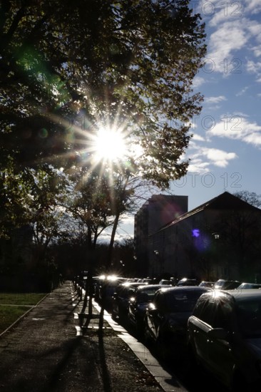 Autumn sun and parked cars, late autumn, Germany