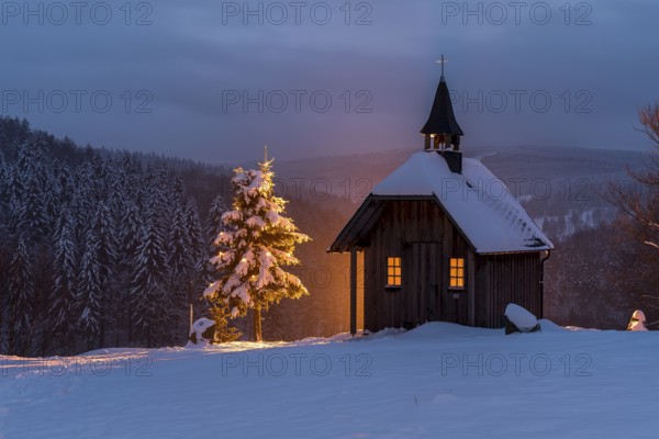 Christmas at the chapel on the path, snow-covered and illuminated Christmas tree, Oberlochmühle, Deutschneudorf, Erzgebirge, Saxony, Germany