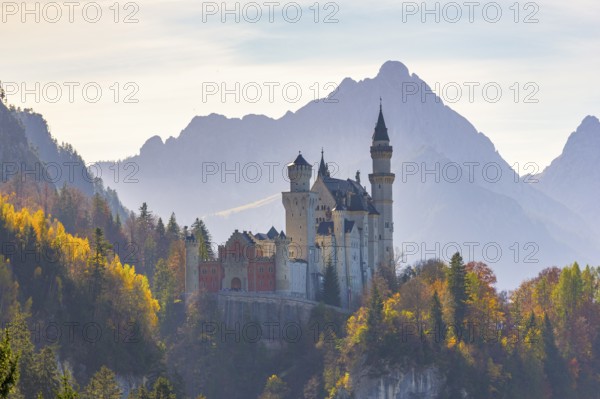 Fairytale castle surrounded by dense, autumnal forests and mountains, Neuschwanstein, Schwangau, Ostallgäu, Allgäu, Swabia, Upper Bavaria, Bavaria, Germany