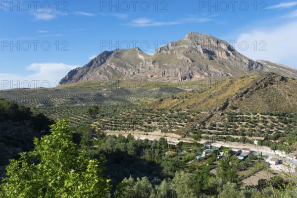 Majestic mountains and green landscape with scattered houses and trees under a clear blue sky, Alto de la Serrezuela mountain, near Bedmar y Garcíez, Bedmar y Garciez, Sierra Mágina Natural Park, Jaén province, Jaen, Andalusia, Spain
