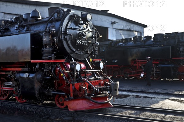 Steam locomotives at the engine shed, Harz narrow-gauge railway, abbreviated HSB, Wernigerode station, railway romance, nostalgia, Saxony-Anhalt, Germany