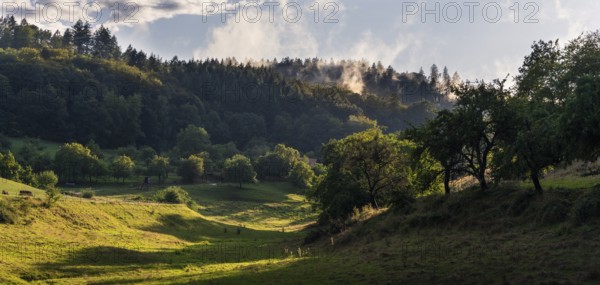 Landscape in the Odenwald with trees, meadows, forest and hills. Sunshine after rain. In the evening. Hinterheubach, Heiligkreuzsteinach, Odenwald, Baden-Württemberg, Germany
