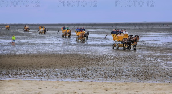 Mudflats in the Wadden Sea from the journey to the island of Neuwerk in the district of Duhnen, North Sea spa town of Cuxhaven, North Sea coast, Elbe, Elbe estuary, Lower Saxony, Germany