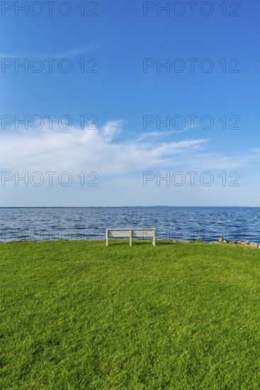 Isolated, white, empty bench in a meadow on the shore of the Szczecin Lagoon in the village of Altwarp, Am Stettiner Haff nature park Park, Mecklenburg-Western Pomerania, Germany