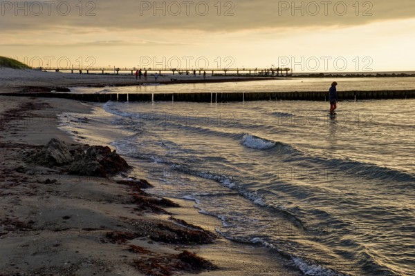 Baltic Sea beach, Baltic Sea coast with the Wustrow pier, evening mood, Baltic seaside resort Wustrow, Fischland-Darß-Zingst peninsula, Mecklenburg-Western Pomerania, Germany