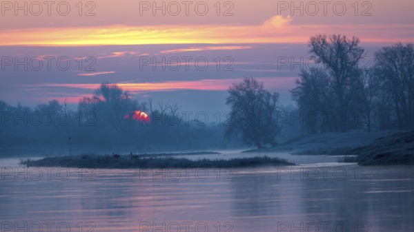 Sunrise on the Middle Elbe, winter landscape in frost, river landscape, fog, reflection of the sun, landscape shot, wonderful atmosphere, Garden Kingdom of Dessau-Wörlitz, Middle Elbe Biosphere Reserve, UNESCO World Heritage Site, Saxony-Anhalt