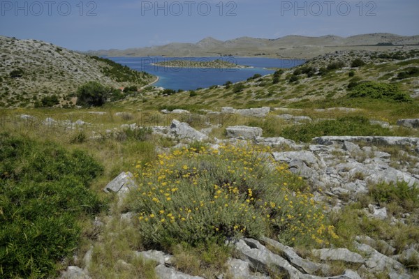 View from Levrnaka island over the Kornati Islands, Adriatic Sea, Kornati Islands National Park, Croatia