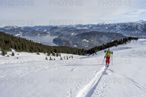 Ski tourers ascending Simetsberg, view of Walchensee and mountain panorama, Estergebirge, Bavarian Prealps, Bavaria Germany
