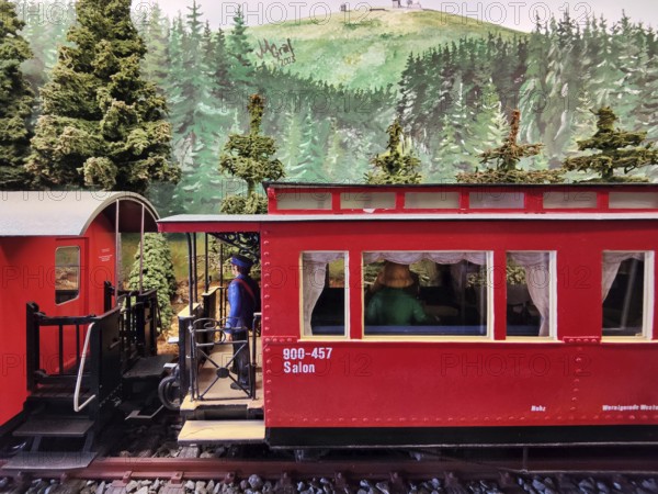 Model railway of the Harz narrow-gauge railway in Wernigerode Westerntor station, railway romance, nostalgia, Saxony-Anhalt, Germany