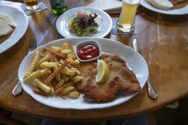Wiener Schnitzel with French fries and salad, served in a pub, Bavaria, Germany
