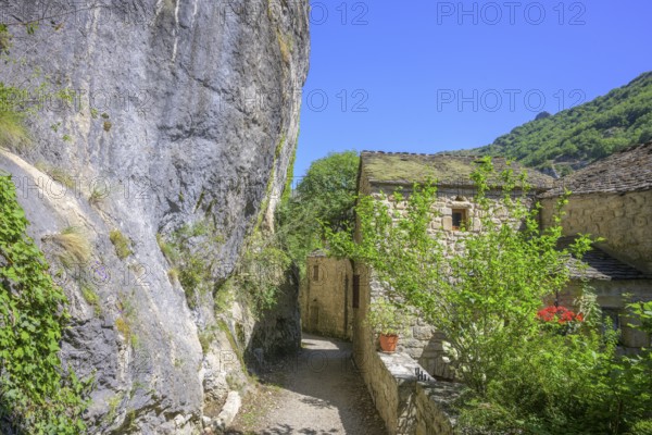 Place between rocks in the Tarn Gorge, Gorges du Tarn Causses, Castelbouc, Département Lozère, France