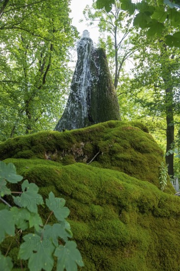 Wasserbaum, Ockensen, Salzhemmendorf, Lower Saxony, Germany