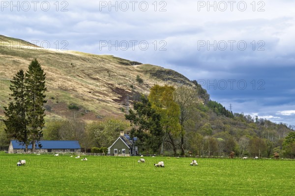 Farm and mountains, Loch Earn, Southern Highlands, Scotland, United Kingdom