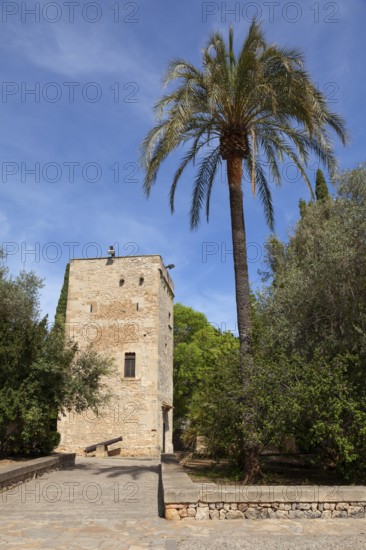 Torre de can Desbrull in the Joan March Servera garden, Pollensa, Balearic Islands, Spain
