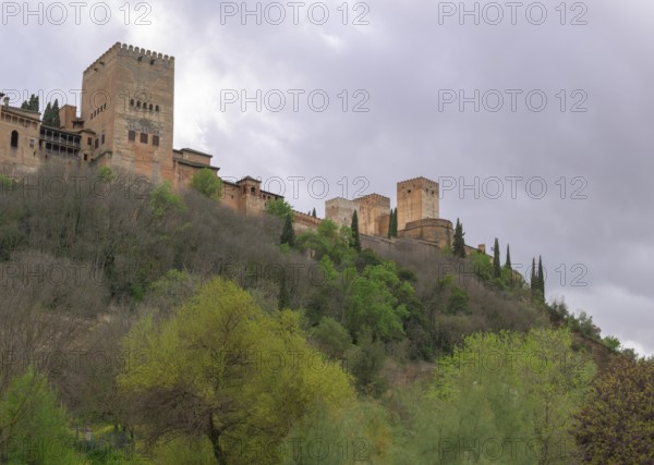 View of the Alhambra, Granada, Spain
