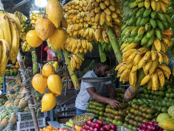 Fruit stand with colourful tropical fruits, bananas, mangoes, Sri Lanka