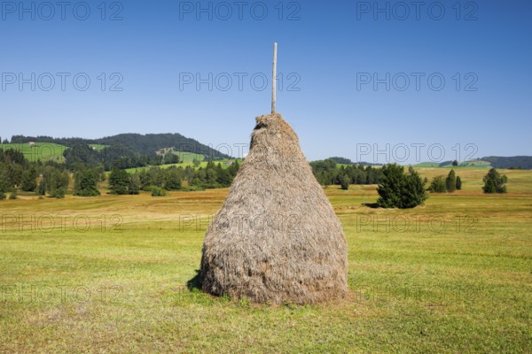Traditional haystack Triste in the Schwantenau moorland, Canton Schwyz, Switzerland