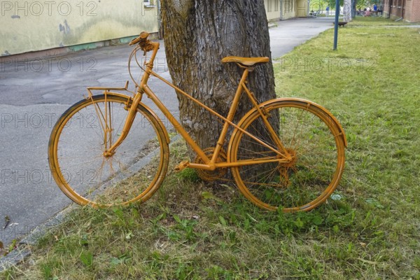 Yellow bicycle leaning on tree trunk, decoration, painted, Albgut, old camp, former military area, biosphere area, Münsingen, Swabian Alb, Baden-Württemberg, Germany
