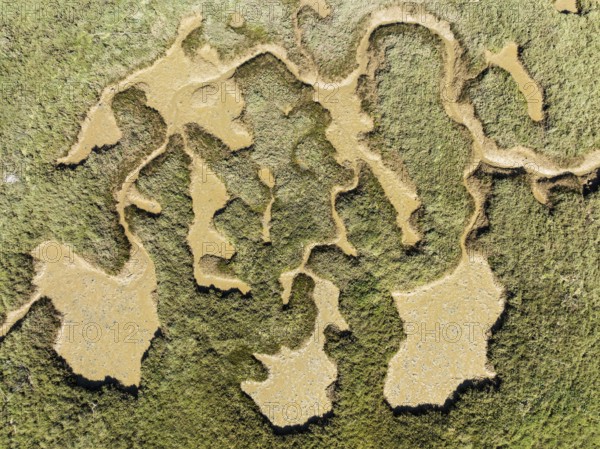 Network of channels and streams at low tide. In the marshland of the Piedras River. Aerial view. Drone shot. Huelva province, Andalusia, Spain