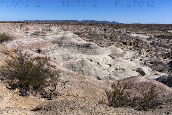 Painted Valley (Valley of the Moon), Ischigualasto Provincial Park, Villa San Agustín, San Juan Province, Argentina