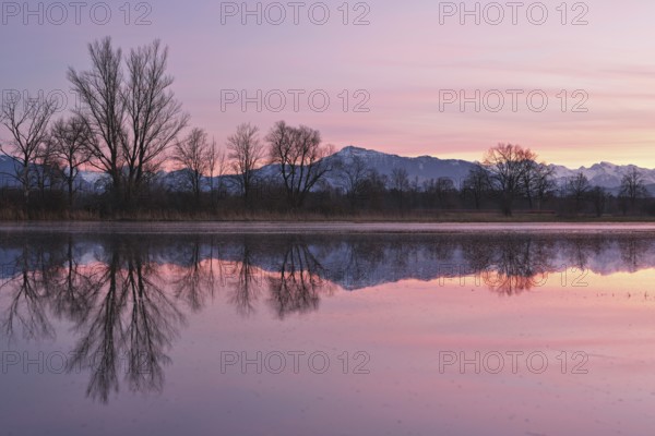 Rigi reflected in the flooded nature reserve in the evening light, Reussspitz, Hünenberg, Canton Zug, Switzerland