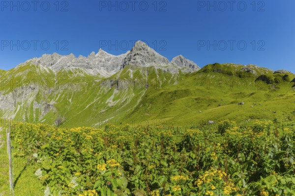 Panorama from the Kemptner Hütte, 1844m, to the Muttlerkopf, 2368m, Allgäu Alps, Allgäu, Bavaria, Germany