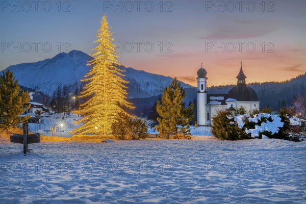 Seekirchl with artificially illuminated winter fir tree and Hocheder 2797m at dusk in winter, Seefeld, Seefeld Plateau, Tyrol, Austria