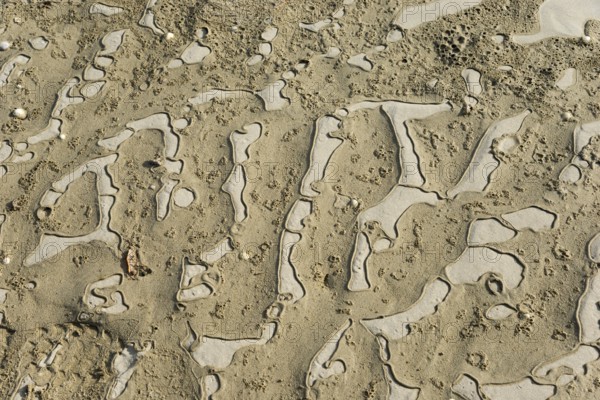 Detailed view of abstract, natural sand patterns on the coast, Plage Saint Efflamm, Plestin-les-Grèves, Breton Plistin, Arrondissement Lannion, Côtes-d'Armor, Brittany, France