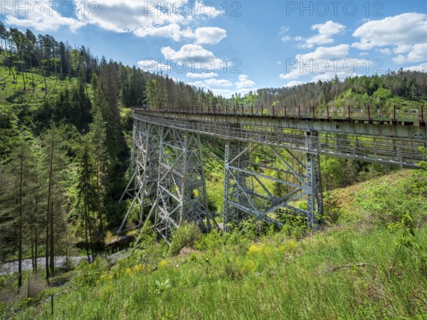 The Ziemestal Bridge, historic railway viaduct over the Ziemestal valley, Remptendorf, Thuringia, Germany