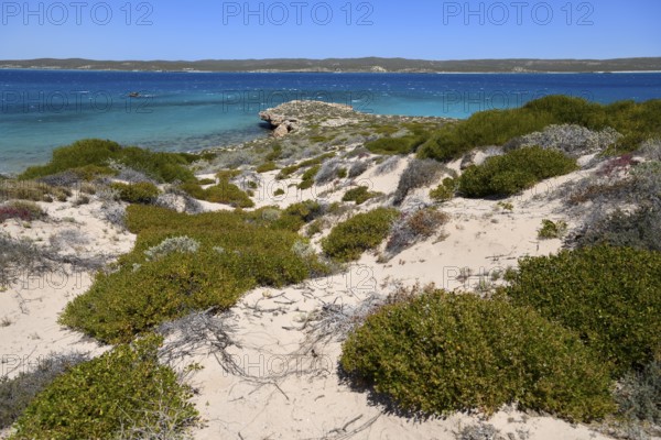 Landscape on Dirk Hartog Island, Dirk Hartog Island National Park, named after the Dutch navigator of the same name, Shire of Shark Bay, State of Western Australia, Australia