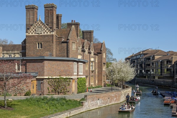 Punting, punting, Magdalene College, River Cam, Cambridge, England, Great Britain