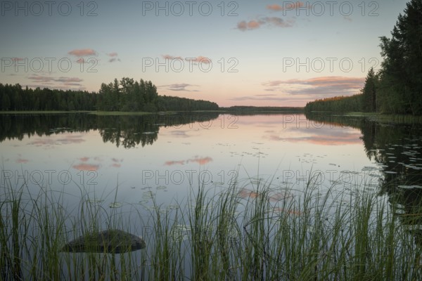 Lake near Hartola, forest, evening mood, Finland