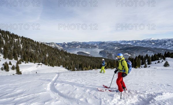 Two skiers skiing down the Simetsberg, view of Walchensee and mountain panorama, Estergebirge, Bavarian Prealps, Bavaria Germany
