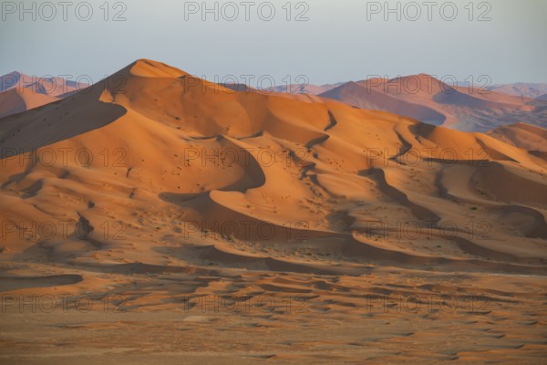 Sand dunes in the Rub Al Khali desert, the world's largest sand desert, Empty Quarter, Oman