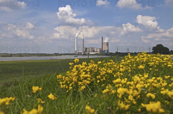 STEAG EVONIK Walsum coal-fired power station, Duisburg, Rhine, North Rhine-Westphalia, Ruhr area, Germany