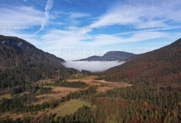 Early morning mist in the Egelsee nature reserve with a view of the Gaisberg, moorland, Puch near Hallein, Osterhorn group, Salzkammergut, Salzburg province, Austria