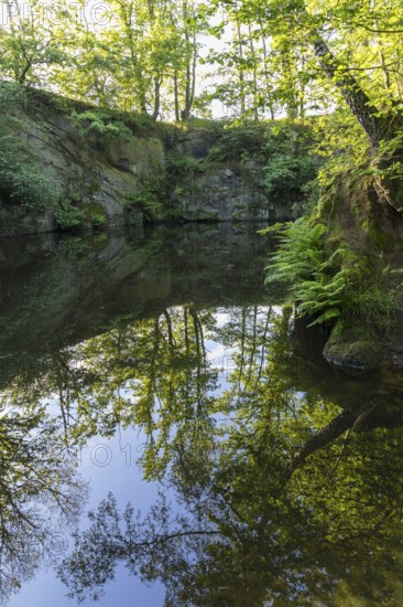 Old quarry with reflection, Callenberg, Schirgiswalde-Kirschau, Upper Lusatia, Saxony, Germany